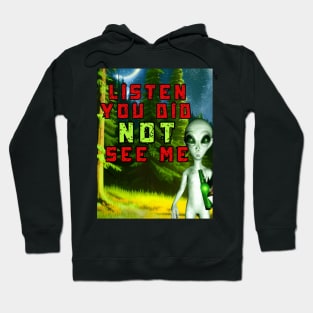 You did not see me. Hoodie